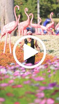 BIB:  <button type="button" onclick="openModal(27588527)" class="btn btn-primary btn-sm float-right" data-toggle="modal" data-target=".modal-high-quality">
                <i class="fa fa-download"></i> Download
                </button>